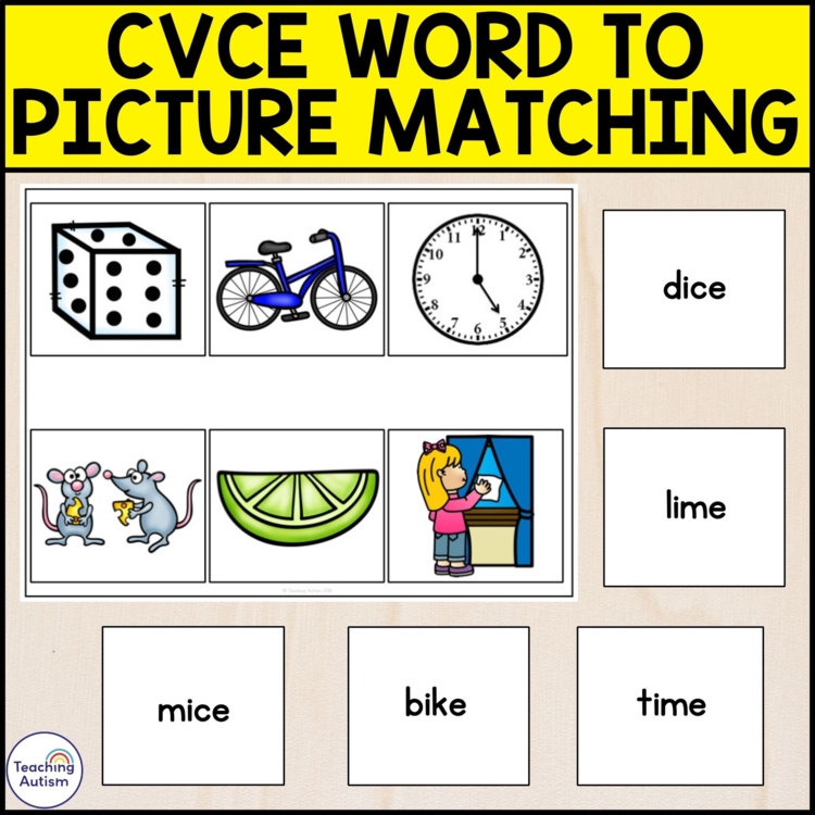CVCE Word to Picture Matching Activity