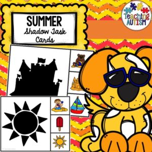 Summer Task Cards Matching Shadows