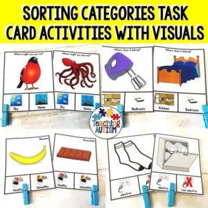 Sorting by Categories for Speech Therapy | Year Long Category Task Cards Bundle