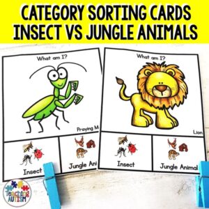 Category Sorting Cards Insects vs Jungle Animals