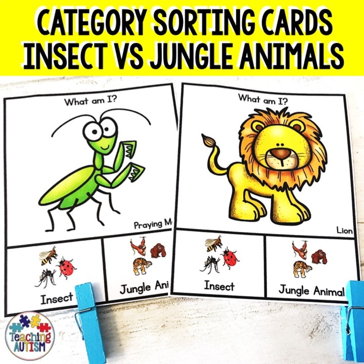 Category Sorting Cards Insects vs Jungle Animals