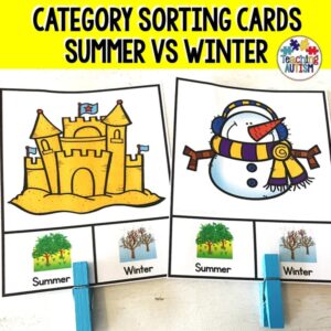 Sorting Categories Summer vs Winter Seasons Task Cards