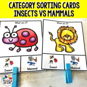 Mammals v Insects Sorting Categories Task Cards