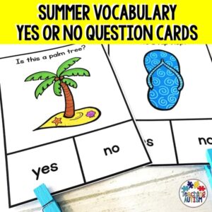 Yes No Questions for Speech Therapy Summer