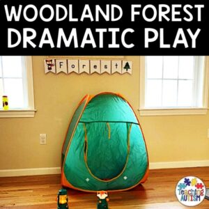 Woodland Forest Dramatic Play