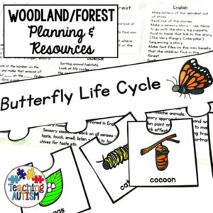 Woodland Forest Lesson Plan and Resources