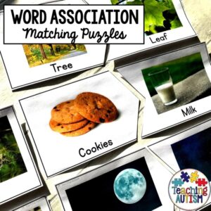 Word Association Puzzles for Speech Therapy