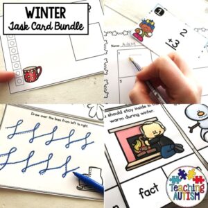 Winter Task Cards Bundle | Winter Math & Literacy Centers for Special Education