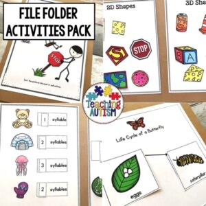 File Folder Activities
