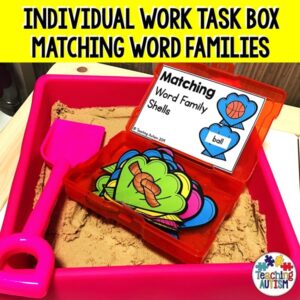 Word Families Matching Task Box Activity