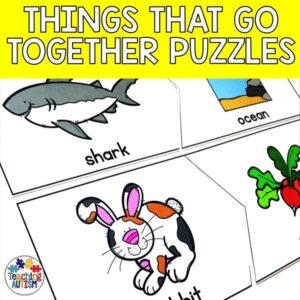 What Goes Together Task Box for Special Education
