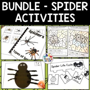 Spider Activities Bundle