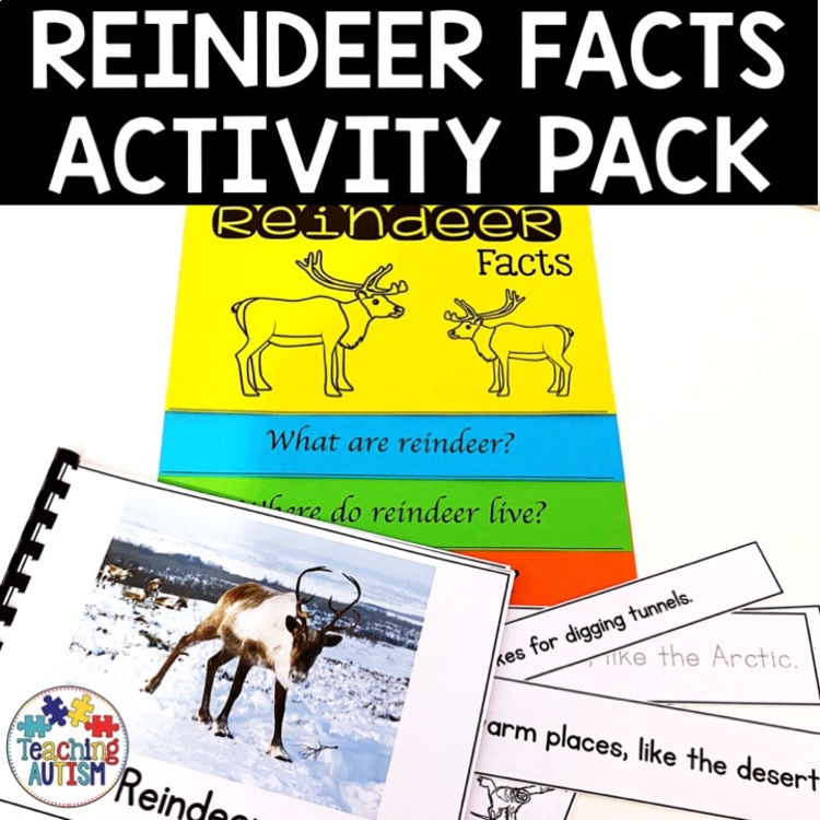 Reindeer Activities | Facts About Reindeer Activity Pack