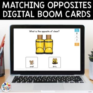 Opposites Matching Boom Cards