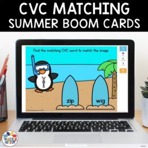 CVC Words to Image Matching | Summer Boom Cards