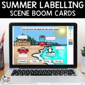 Summer Boom Cards | Labelling Activity