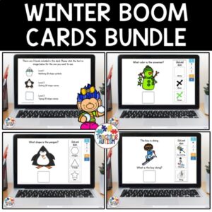 Winter Boom Cards for Special Education | Digital Task Cards, WH Questions