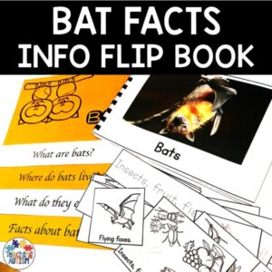 Bat Activities | Facts About Bats Flip Book
