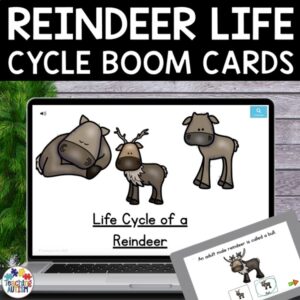 Life Cycle of a Reindeer | Reindeer Activities Christmas Boom Cards