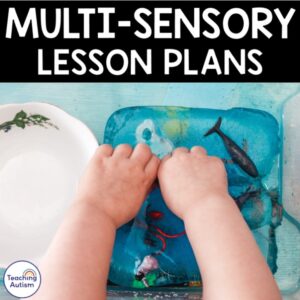 Multi Sensory Lesson Plans for Special Education | Autism Sensory Activities