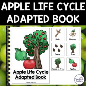 Apple Life Cycle Adapted Book for Special Education