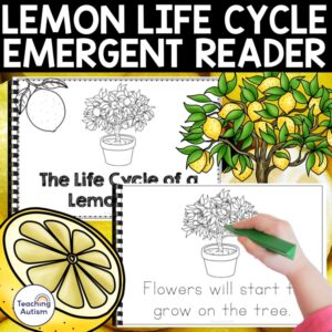 Life Cycle of a Lemon Emergent Reader Book | Lemonade Theme Day