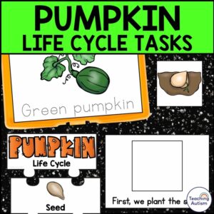 Pumpkin Life Cycle Activities | Life Cycle of a Pumpkin Activities Task Box