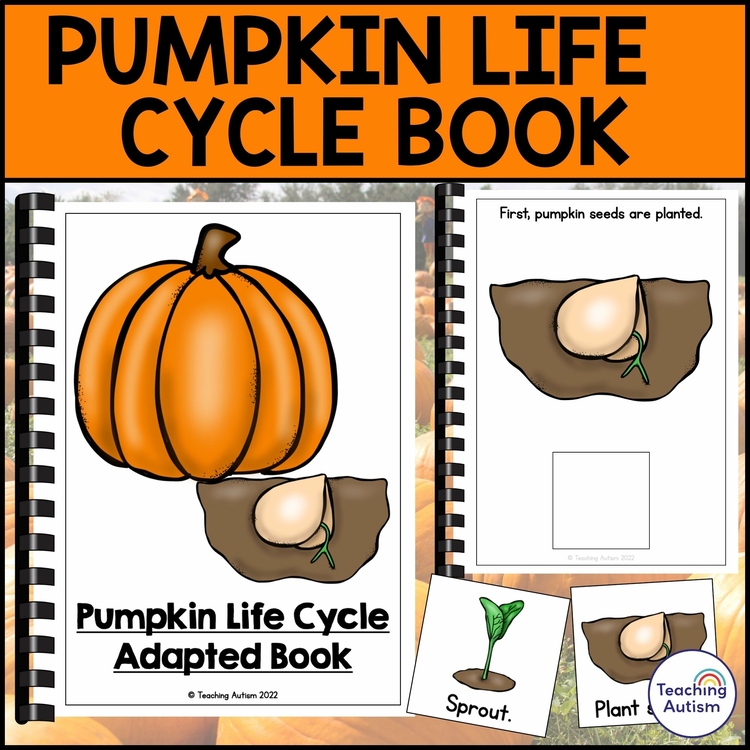 Life Cycle of a Pumpkin Adapted Book for Special Education