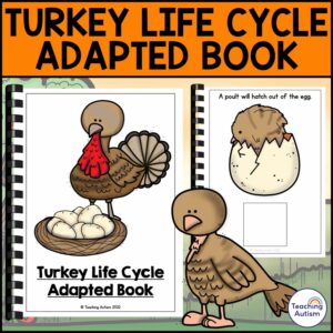 Life Cycle of a Turkey Adapted Book for Special Education