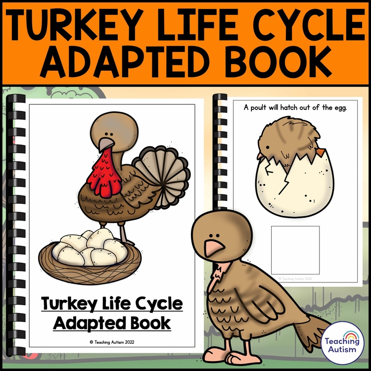 Life Cycle of a Turkey Adapted Book for Special Education