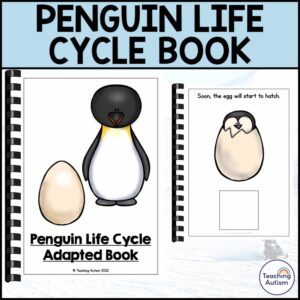Life Cycle of a Penguin Adapted Book for Special Education | Penguin Life Cycle