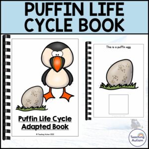 Life Cycle of a Puffin Adapted Book for Special Education | Puffin Life Cycle
