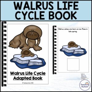 Life Cycle of a Walrus Adapted Book for Special Education | Walrus Life Cycle