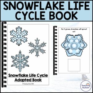 Life Cycle of a Snowflake Adapted Book | Snowflake Life Cycle