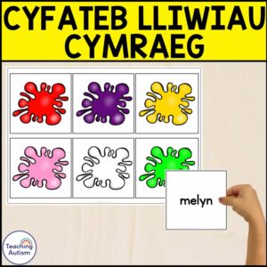 Pa Liw? Welsh Colour Names Matching Word to Picture