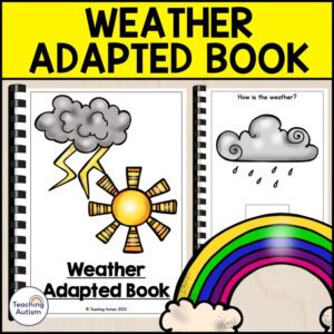 Weather Adapted Book for Special Education