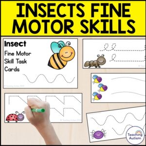 Insect Fine Motor Skill Cards | Bugs and Insects