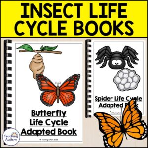 Insect Life Cycle Adapted Books | Life Cycles for Special Education Science