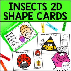 Insect 2D Shape Matching Task Box | Bugs and Insects Math Activities