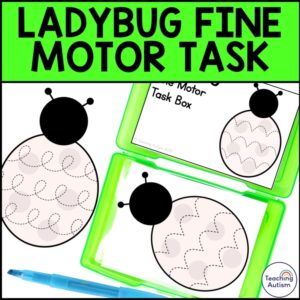 Ladybug Fine Motor Skills Task Box | Bugs and Insects Activities