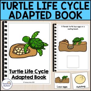 Life Cycle of a Turtle Adapted Book for Special Education | Turtle Life Cycle