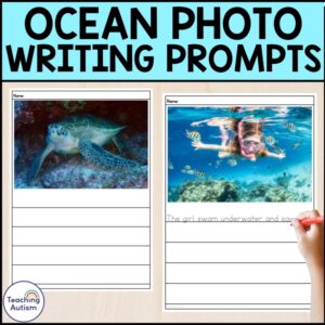 Ocean Photo Writing Prompt Worksheets
