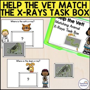 Pet X-Rays Task Box | Helping the Vet Community Helpers Task Box
