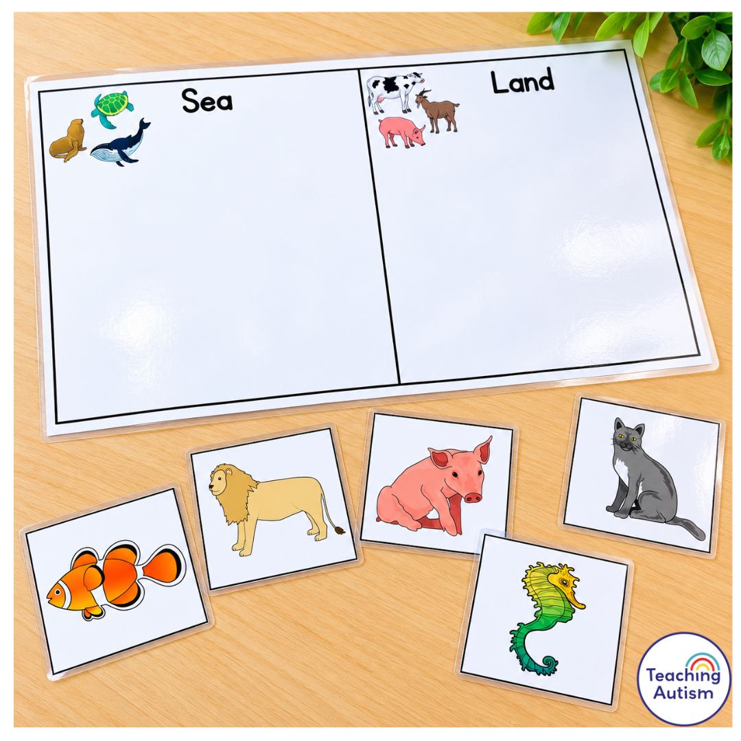 Free category sorting activity for speech therapy and special education, featuring a laminated sea and land animal sorting board with picture cards of a fish, lion, pig, seahorse, and cat.