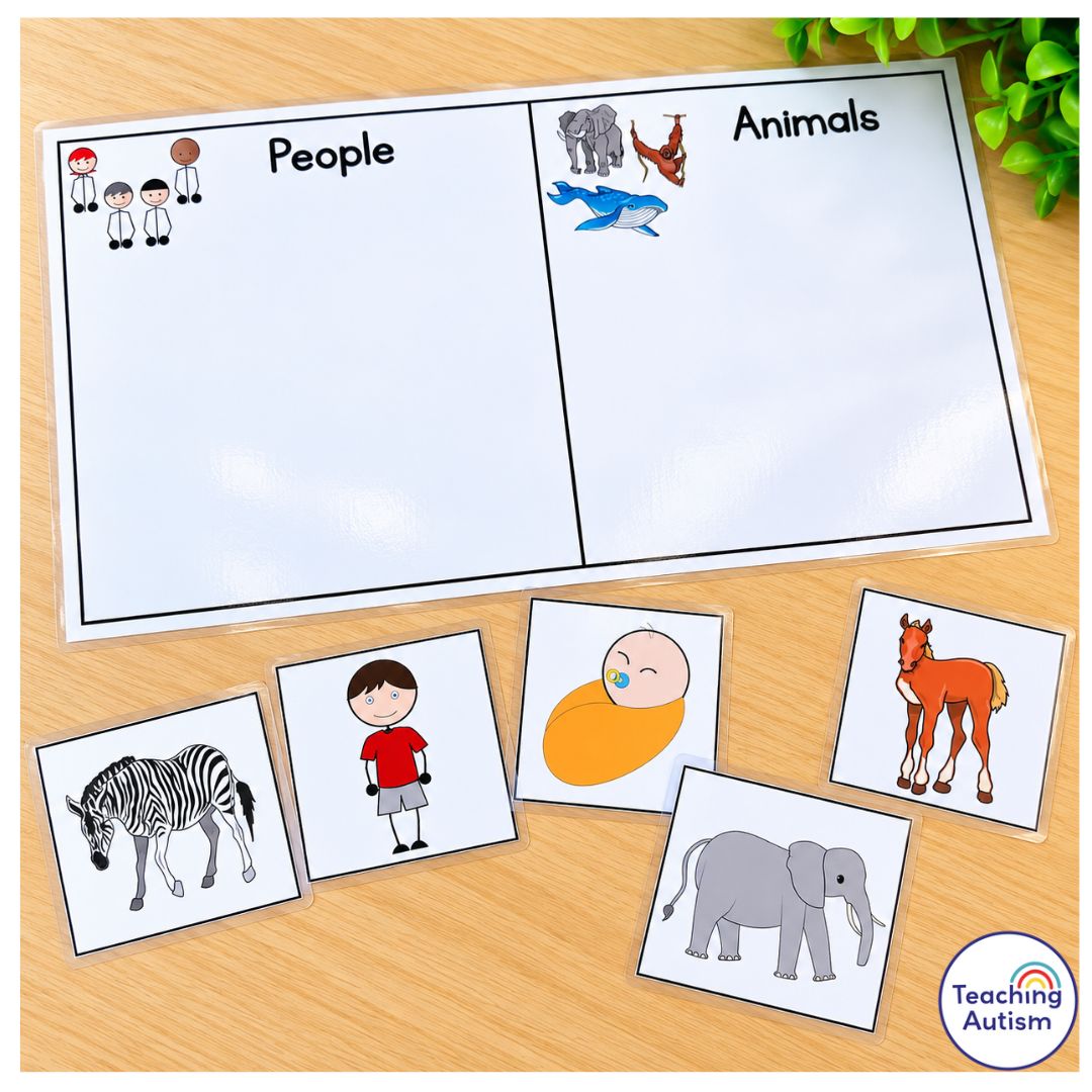 Free category sorting activity for speech therapy and special education, featuring a laminated people and animals sorting board with picture cards of a zebra, boy, baby, horse, and elephant.
